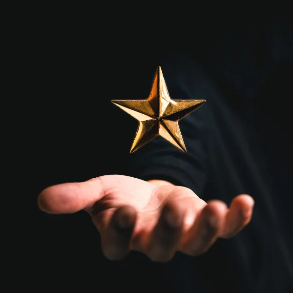 Picture of a professional badge representing experience and reputation.